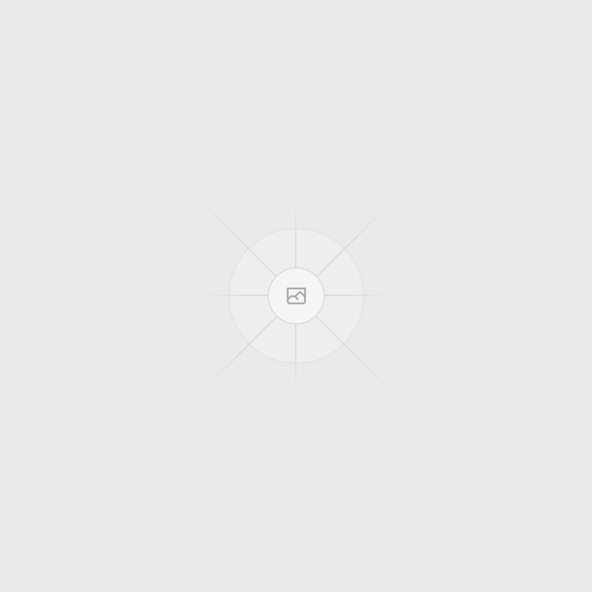 Reasoning Layer visualization